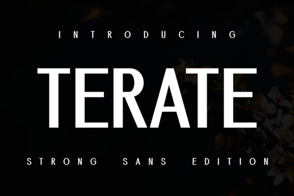 Demore Terate: A Sturdy Sans Serif Font for Web Design