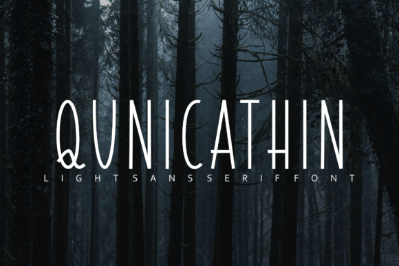 Qunicathin Font for Elegant Brand Identity